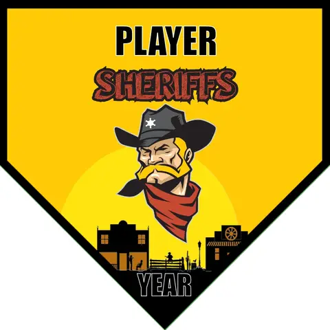 Sheriffs Soccer Banner-soccer-banners-and-flags-picture