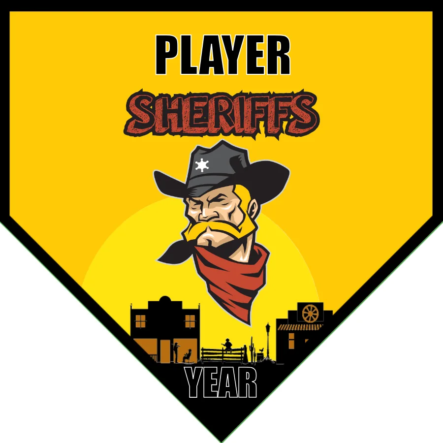Sheriffs Soccer Banner-soccer-banners-and-flags-picture