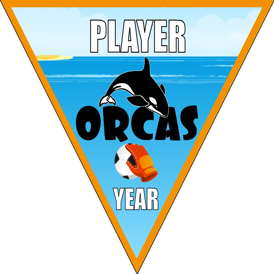 Orcas Soccer Banner-soccer-banners-ideas-picture
