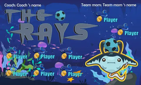 The rays Soccer Banner-belgian-soccer-banner