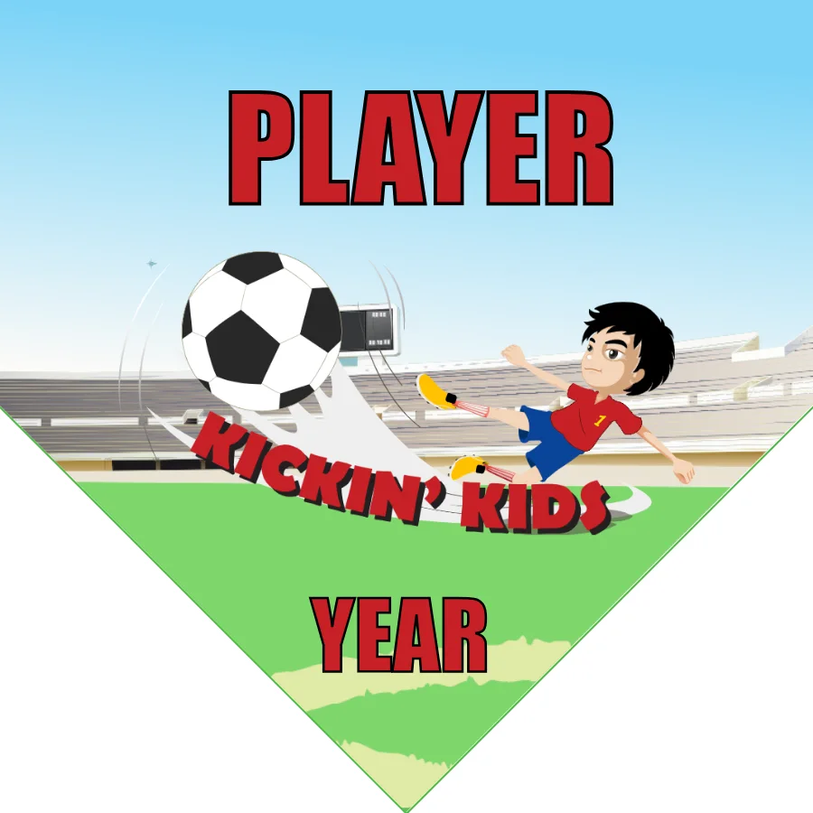 Zephyr Soccer Banner