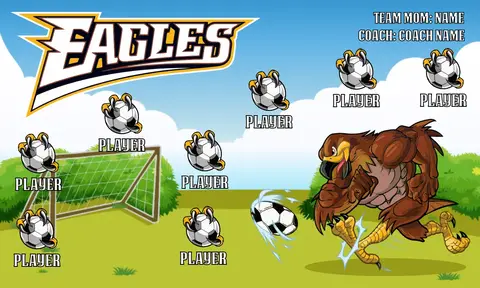 Eagles Soccer Banner-soccer-banner-gallery-picture