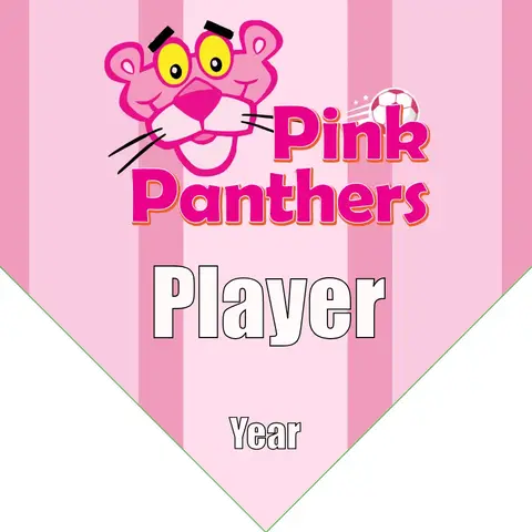 Pink Panthers Soccer Banner-soccer-team-banner-ideas-picture