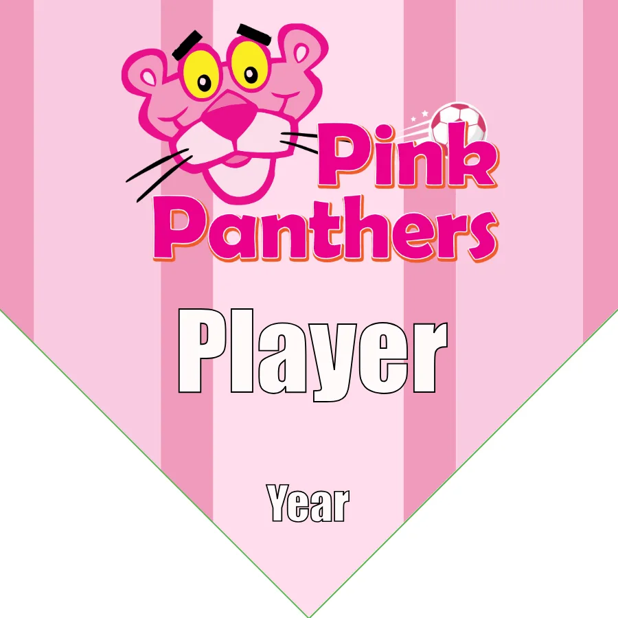 Pink Panthers Soccer Banner-soccer-team-banner-ideas-picture