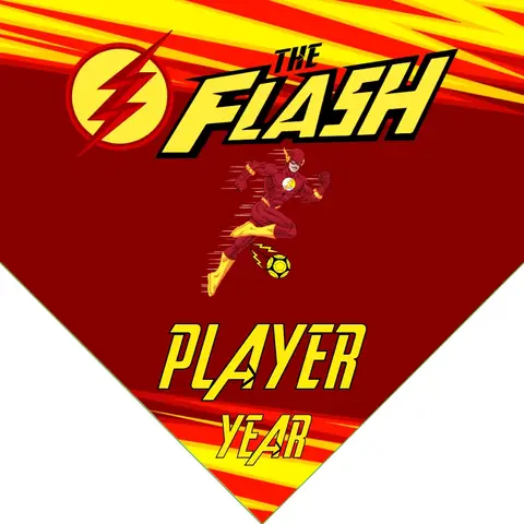 The Flash Soccer Banner-soccer-banners-and-pennants-picture