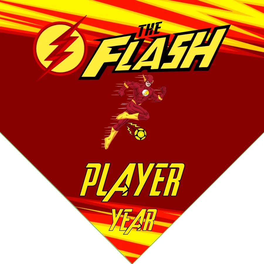 The Flash Soccer Banner-soccer-banners-and-pennants-picture