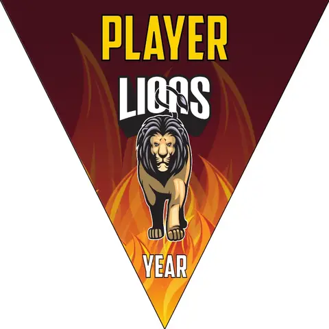 Lions 2 Soccer Banner-banner-soccer-image