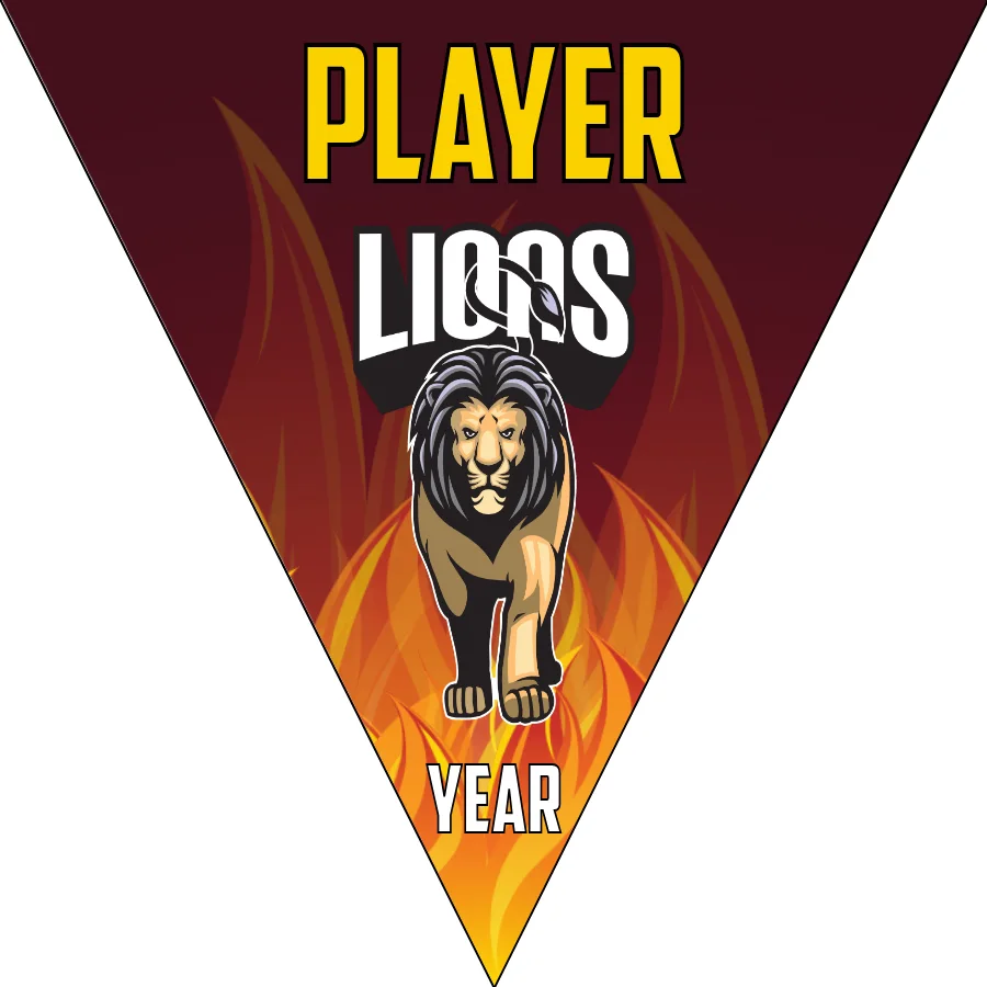 Lions 2 Soccer Banner-banner-soccer-image