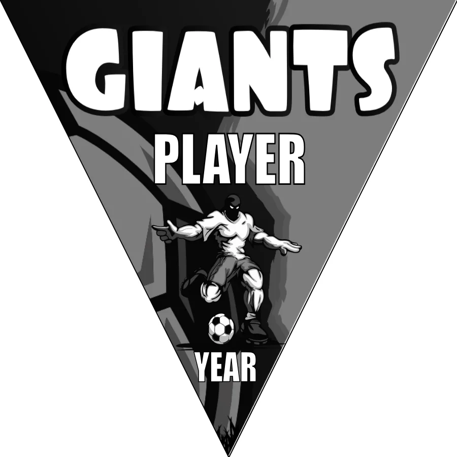 Giants 2 Soccer Banner-soccer-field-banners-picture