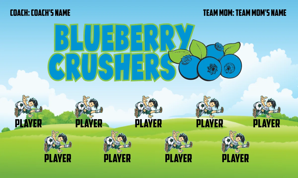 Blueberry Soccer Banner-zaavy-soccer-banners-picture