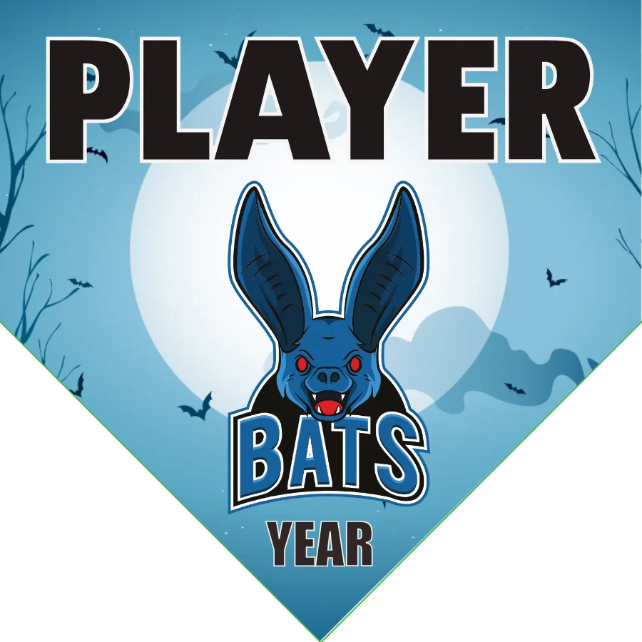Bats Softball Banner-homemade-softball-team-banners-images