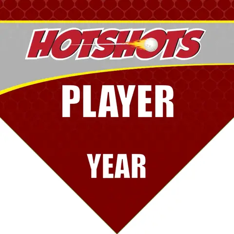 Hotshots Baseball Banner-how-big-is-a-baseball-banner-images