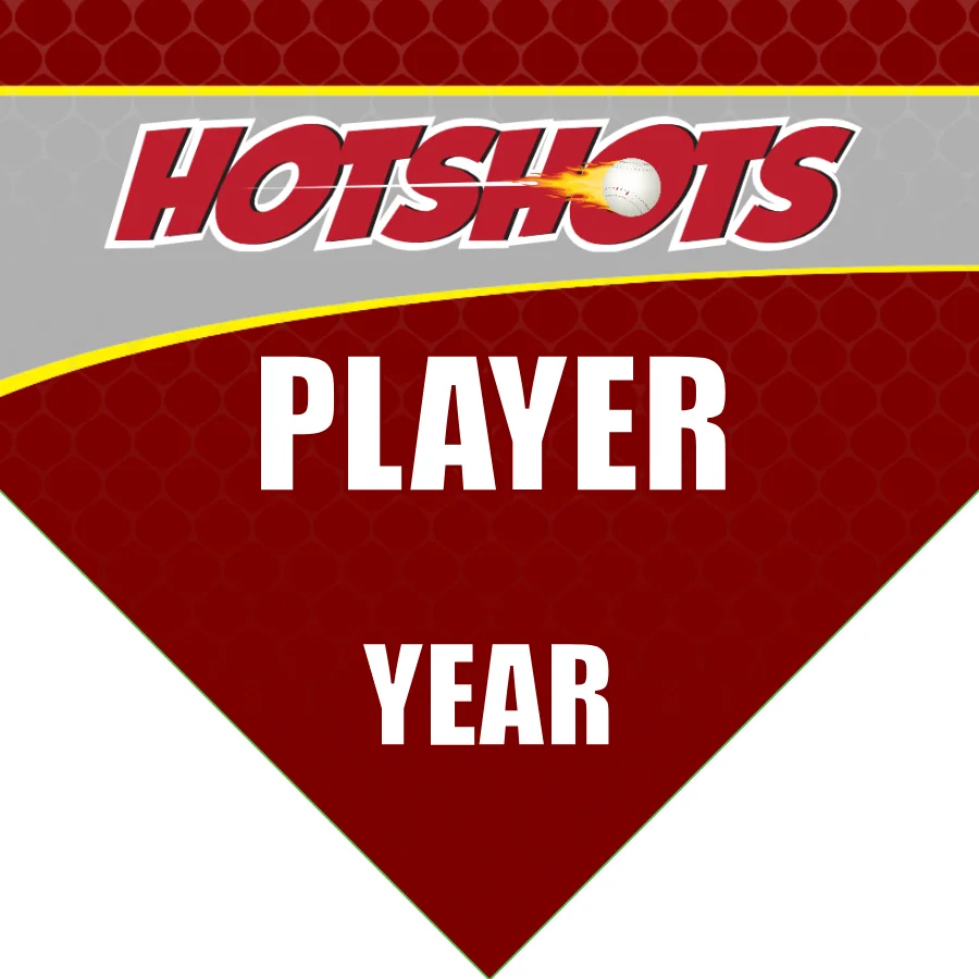 Hotshots Baseball Banner-how-big-is-a-baseball-banner-images