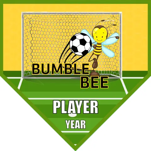 Bumble Bee Soccer Banner-soccer-banner-examples-picture