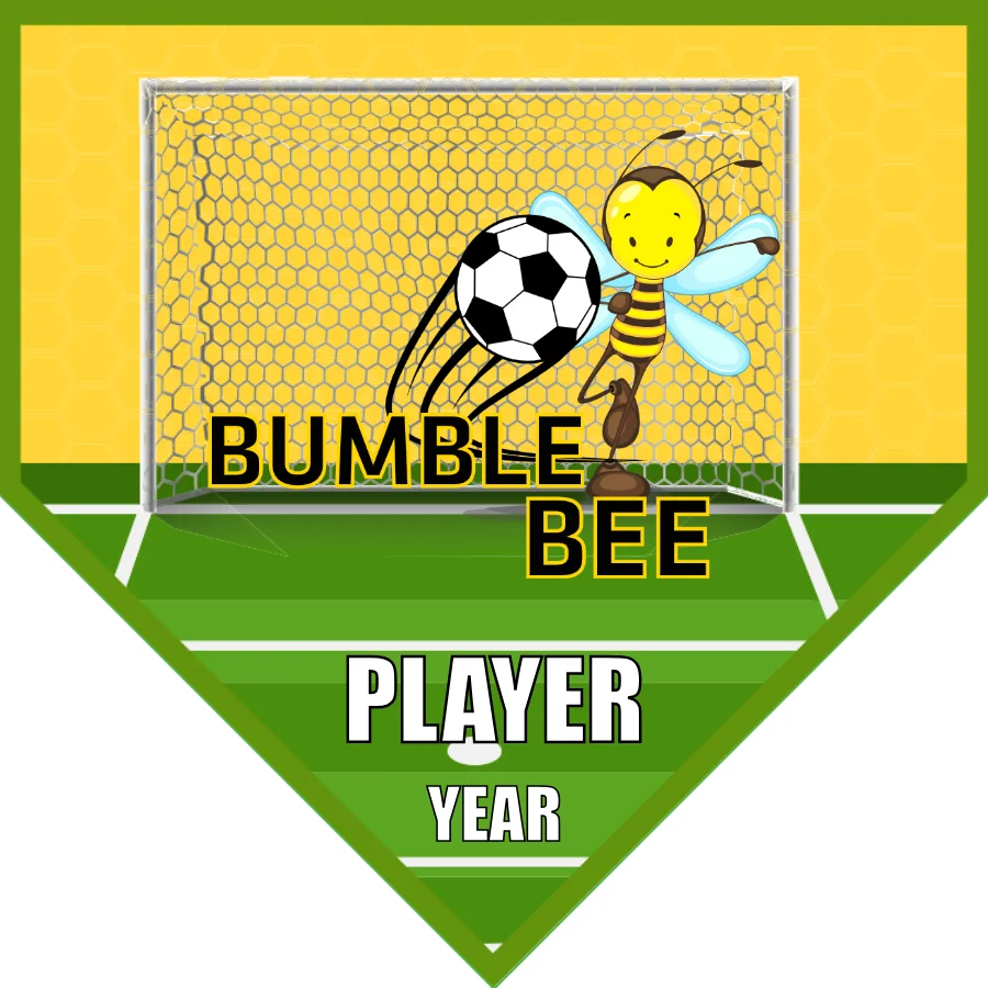Bumble Bee Soccer Banner-soccer-banner-examples-picture