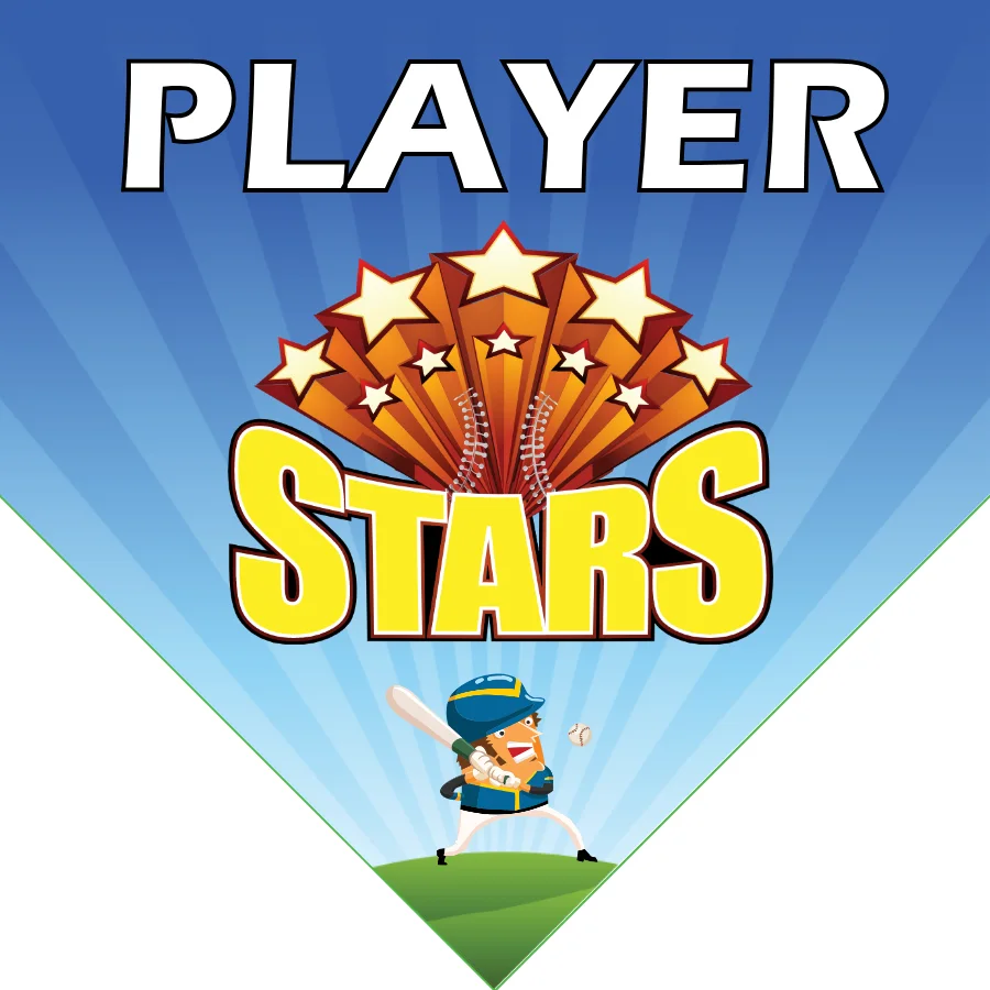 Star Softball Banner-homemade-softball-team-banners-picture