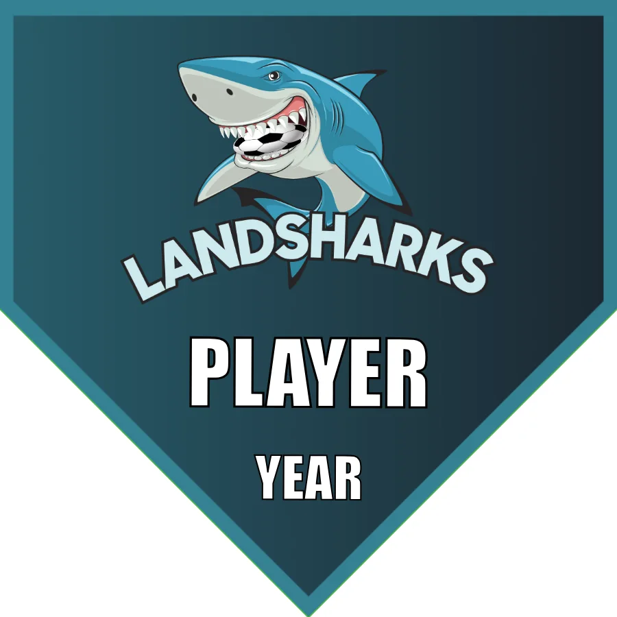 LANDSHARKS Soccer Banner-discount-soccer-banners-picture