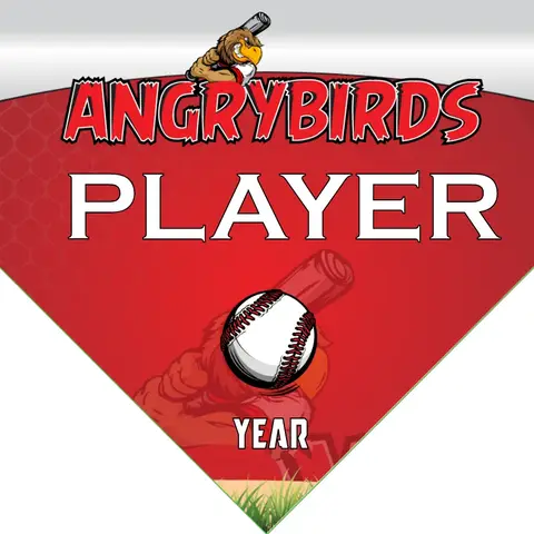 Angrybirds Baseball Banner-nike-baseball-banner-images