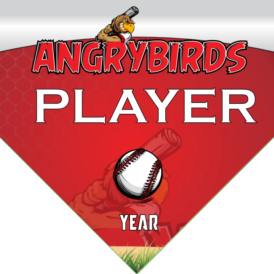 Angrybirds Baseball Banner-nike-baseball-banner-images