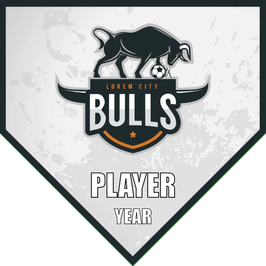 Bulls 1 Soccer Banner-dolphin-soccer-banner-picture
