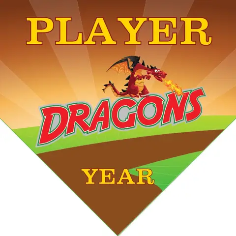 Dragon 2 Softball Banner-homemade-softball-banner-ideas-images