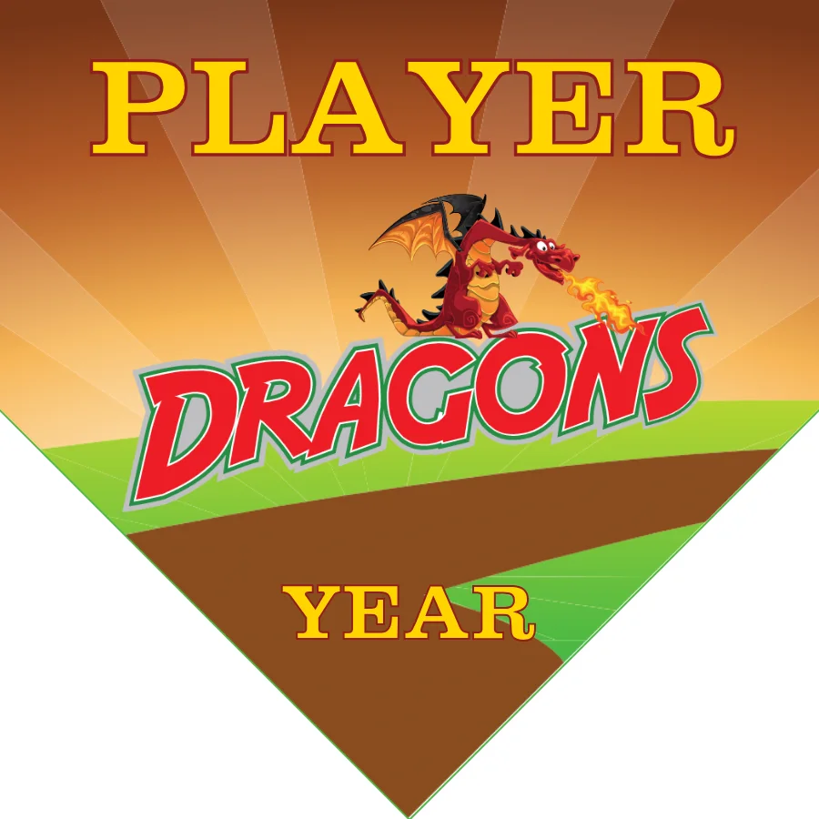 Dragon 2 Softball Banner-homemade-softball-banner-ideas-images