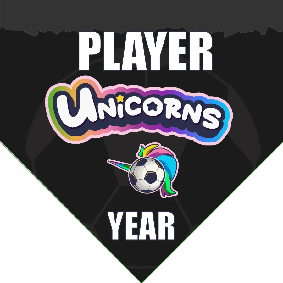 Unicorns 3 Soccer Banner-soccer-team-banners-picture