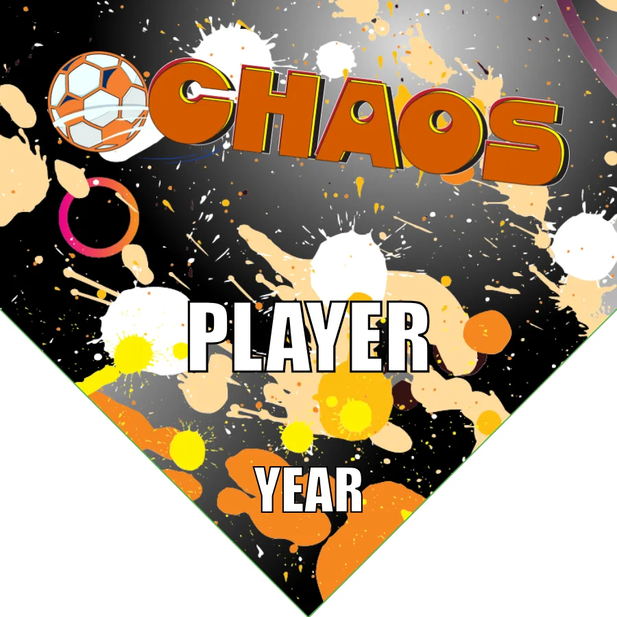Chaos Soccer Banner-felt-soccer-banner-ideas-picture
