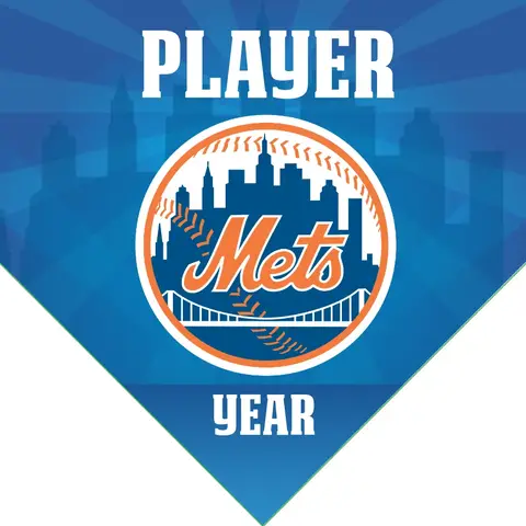 Mets 5 Baseball Banner-cool-baseball-banners-images