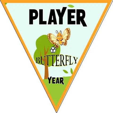 Butterfly Soccer Banner-argentina-soccer-banner-picture