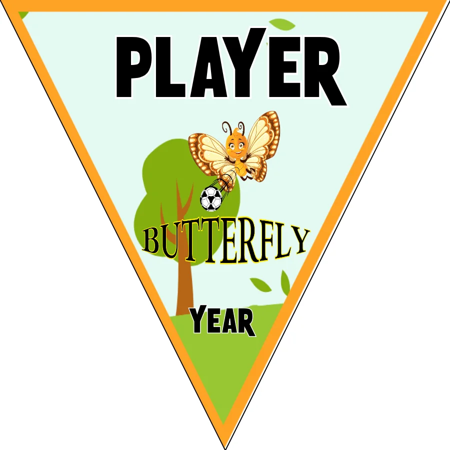 Butterfly Soccer Banner-argentina-soccer-banner-picture