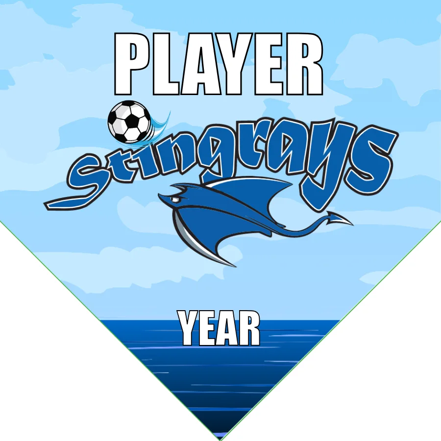 Stingrays Banner-soccer-team-banner-picture