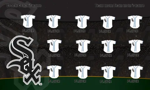 Sox Baseball Banner-baseball-banners-with-photos-images