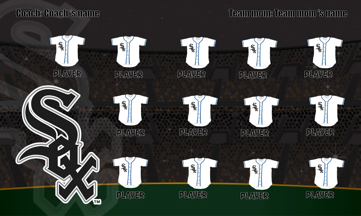 Sox Baseball Banner-baseball-banners-with-photos-images