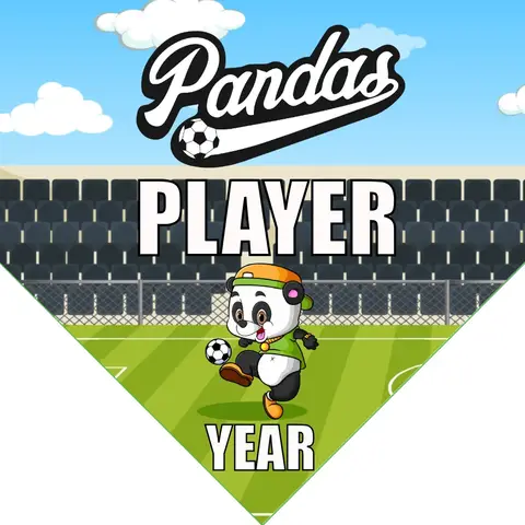 Pandas 1 Soccer Banner-soccer-banner-stand-pvc-picture