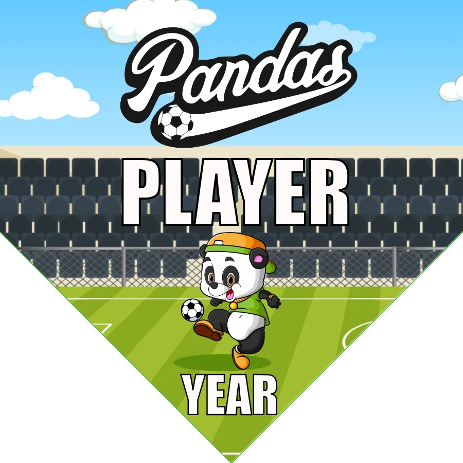 Pandas 1 Soccer Banner-soccer-banner-stand-pvc-picture