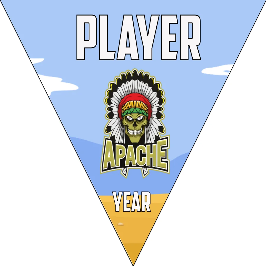 Apache Softball Banner-softball-banner-cost-picture