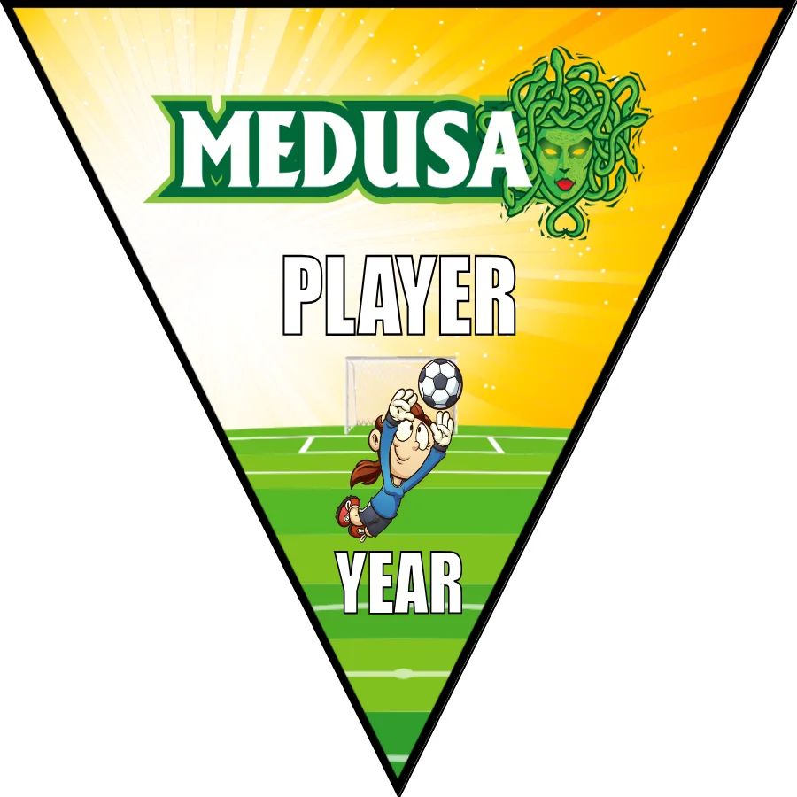 Medusa Soccer Banner-soccer-team-banners-picture
