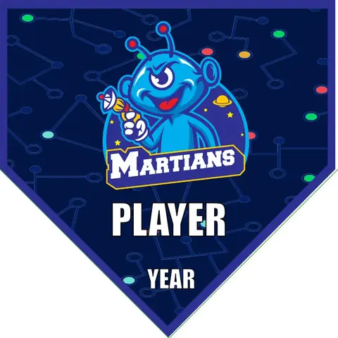 Martians Soccer Banner-soccer-team-banner-picture