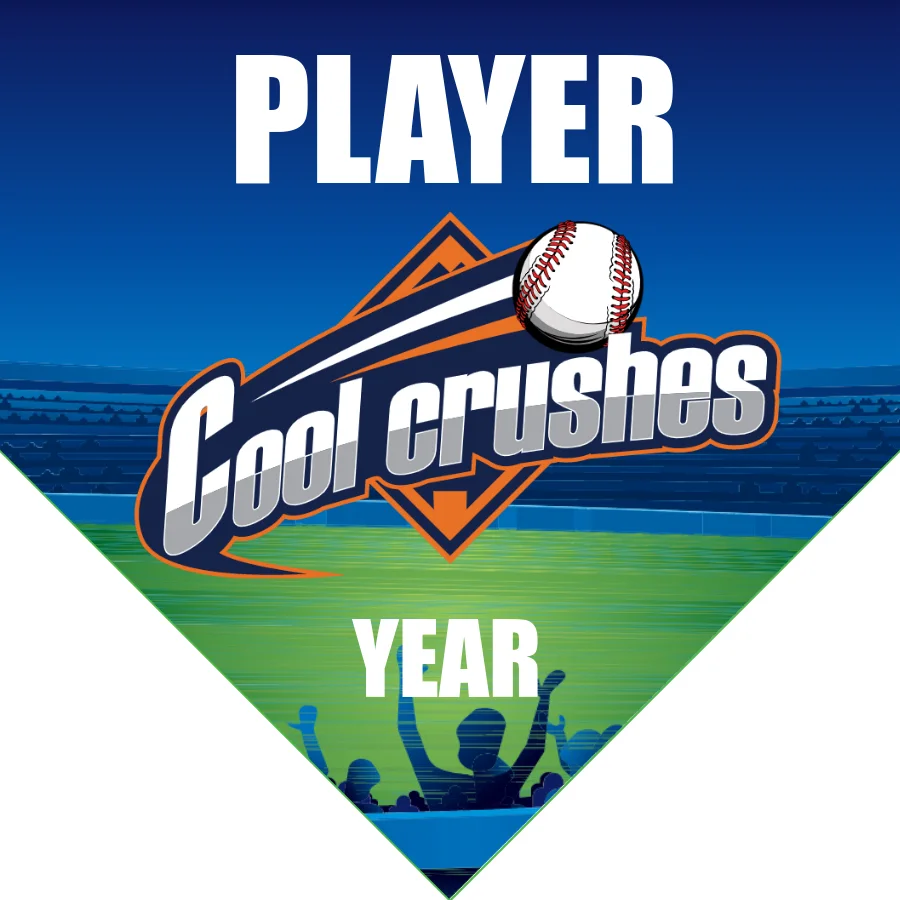 Cool Crush 2 Softball Banner-softball-banner-images