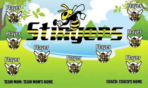 Stingers Soccer Banner-soccer-banner-examples
