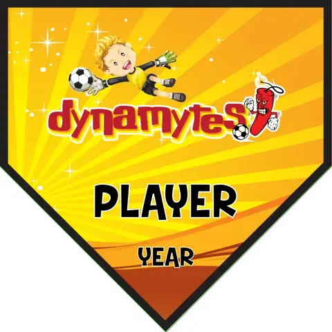 Dynamytes Soccer Banner-do-it-yourself-soccer-banner-picture