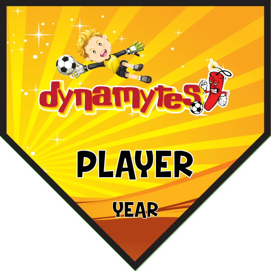 Dynamytes Soccer Banner-do-it-yourself-soccer-banner-picture