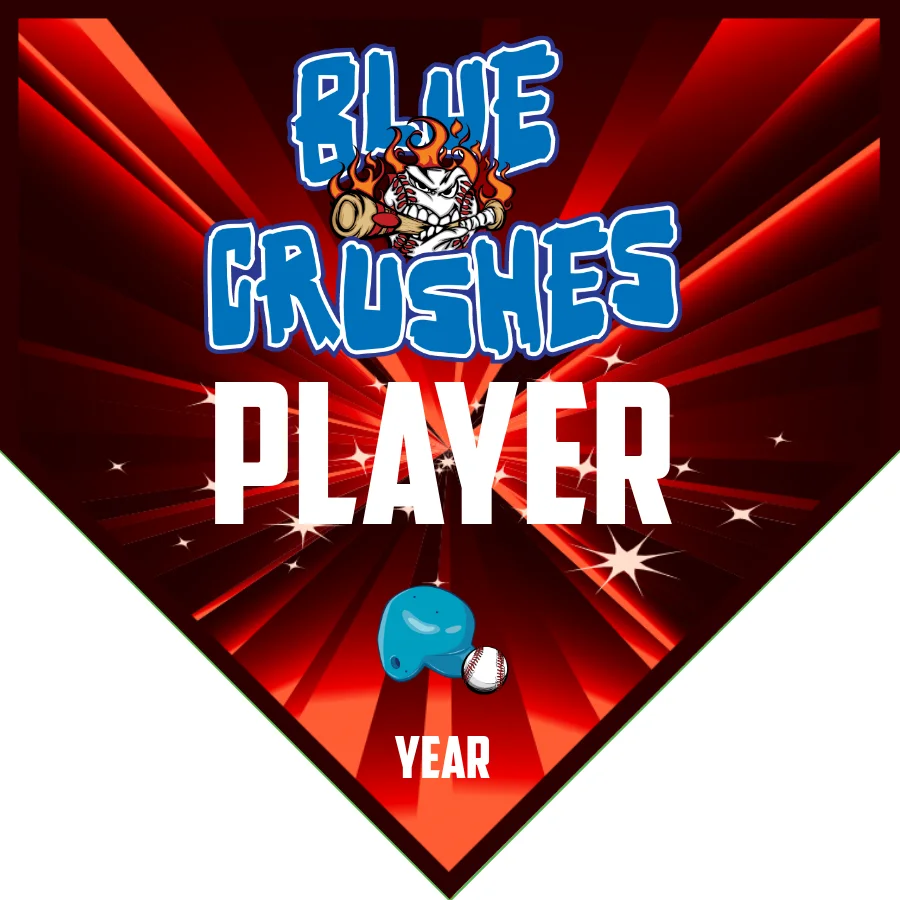 Blue Crushes 1 Softball Banner-softball-banner-picture-ideas-picture