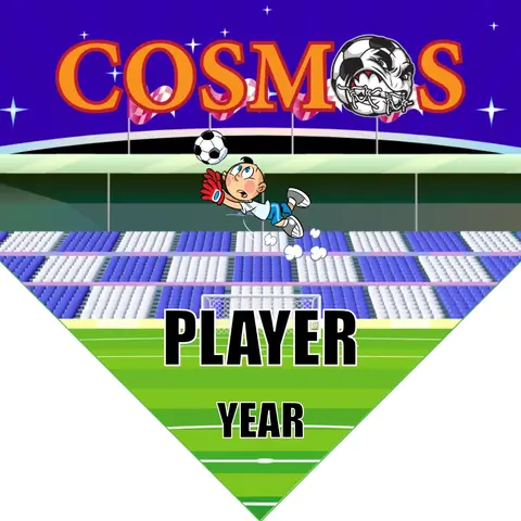 Cosmos Soccer Banner-homemade-soccer-banner-picture