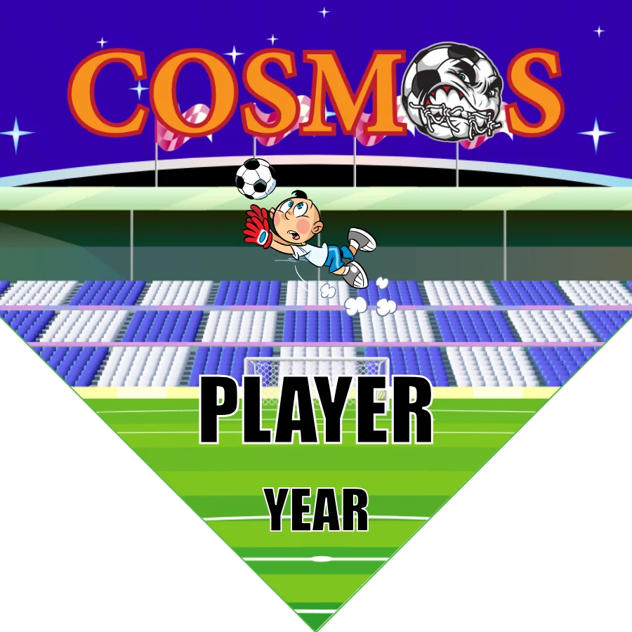 Cosmos Soccer Banner-homemade-soccer-banner-picture