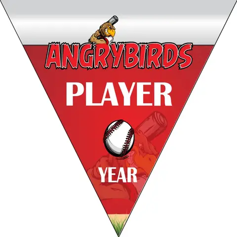 Angrybirds Baseball Banner-baseball-banner-templates-images