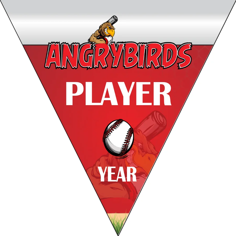Angrybirds Baseball Banner-baseball-banner-templates-images