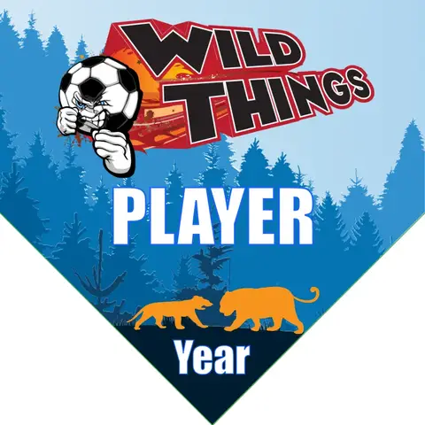 Wild Things Soccer Banner-how-to-make-a-soccer-banner-at-home-picture