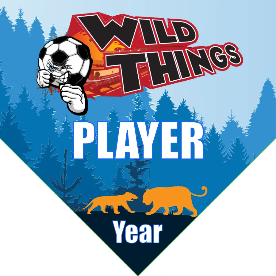 Wild Things Soccer Banner-how-to-make-a-soccer-banner-at-home-picture